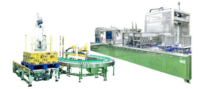 Automatic Packing Line
