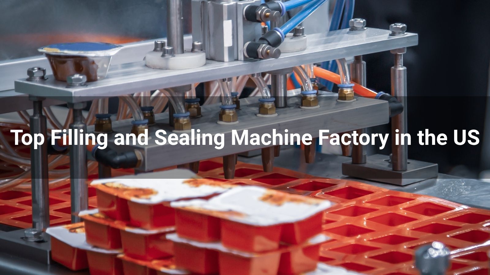 Top 10 Filling and Sealing Machine Factory in the US 2025