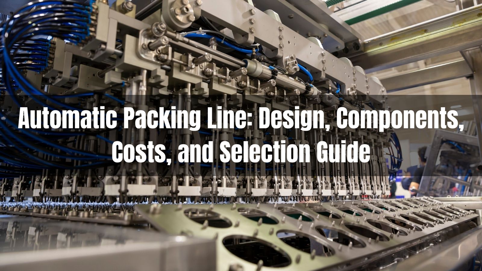 Automatic Packing Line: Design, Components, Costs, and Selection Guide