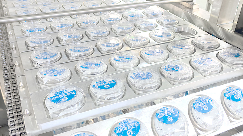 Filling and Capping Machine 