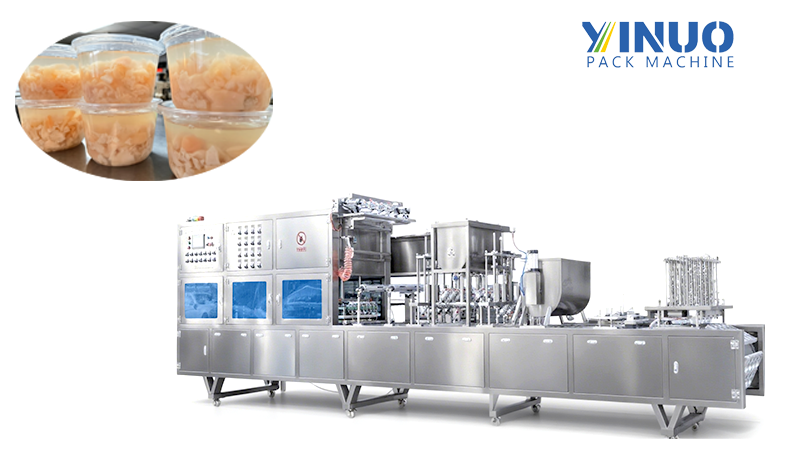 Automatic Vegetable Soup Cup Filling and Sealing Machine – High-Speed Hot-Fill Packaging System for Ready-Meal Manufacturers